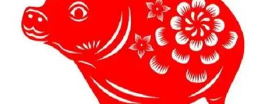 有七带二三相逢代表打一最佳准确生肖，精选落实解释