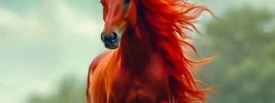 登上高楼想摘星，冬风一吹全身抖打猜什么生肖，成语解释释义落实