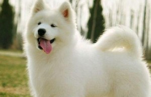 欲钱看瘫子掉进烂泥塘指什么生肖、最佳谜底落实解释