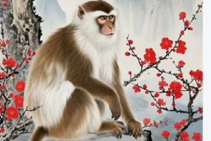 风月恰似蓝蝶飞猜指什么生肖，成语解释释义落实