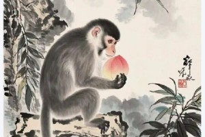 悠悠双影，相依相伴。劳苦功高无怨言指代表什么生肖，成语解释释义落实