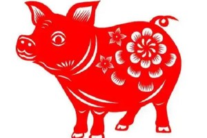 有七带二三相逢代表打一最佳准确生肖，精选落实解释